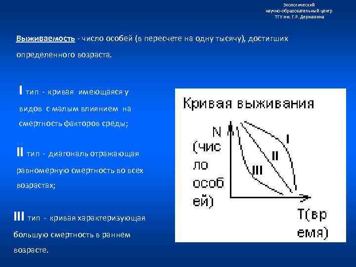 Экологический научно образовательный центр ТГУ им. Г. Р. Державина Выживаемость число особей (в пересчете