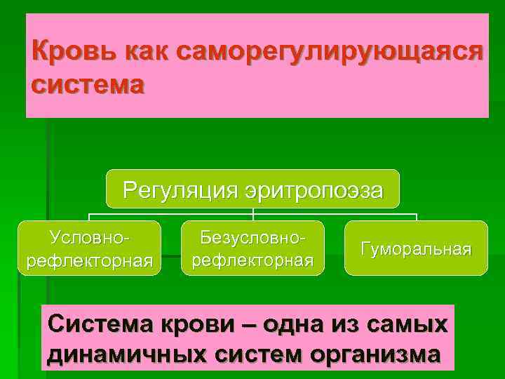 Кровь как саморегулирующаяся система Регуляция эритропоэза Условнорефлекторная Безусловнорефлекторная Гуморальная Система крови – одна из