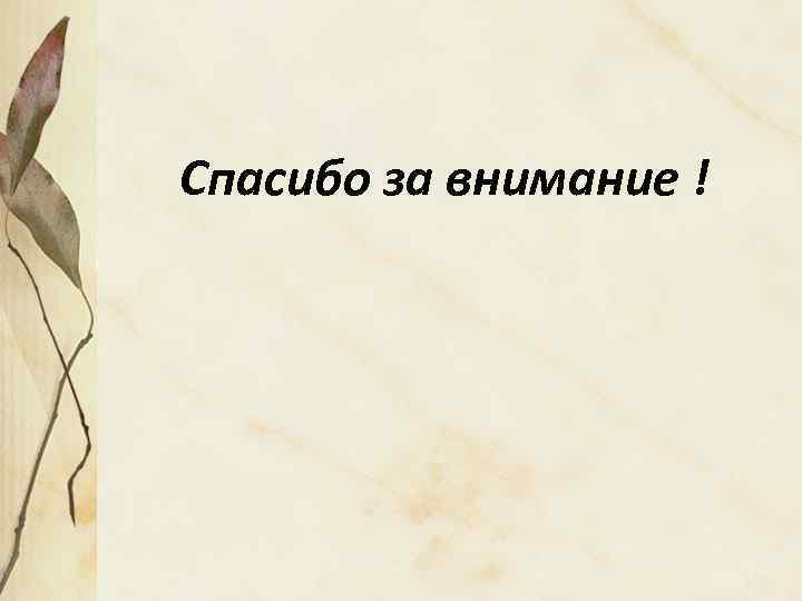 Спасибо за внимание ! 