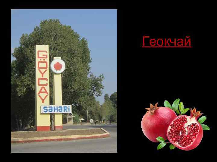 Геокчай центр гранатоводчества 