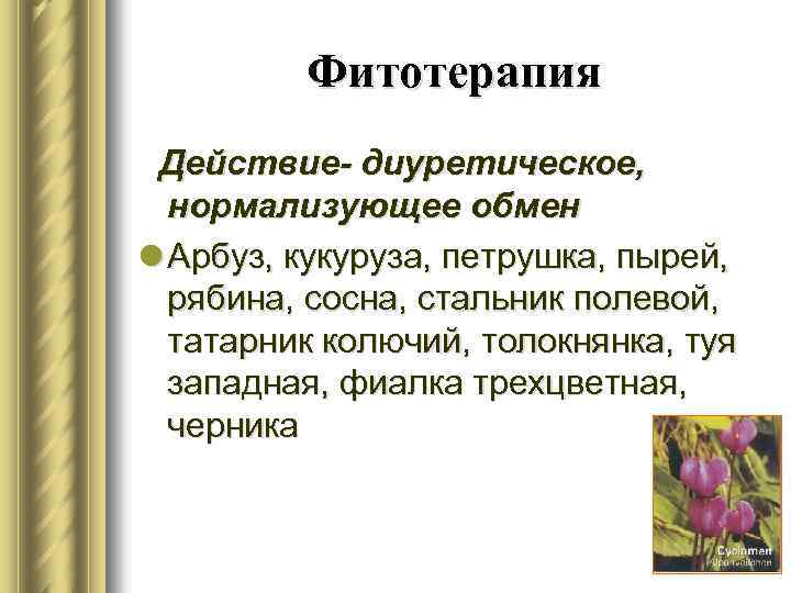 Фитотерапия Действие- диуретическое, нормализующее обмен l Арбуз, кукуруза, петрушка, пырей, рябина, сосна, стальник полевой,