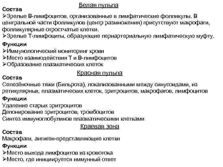 Белая пульпа Состав ØЗрелые B-лимфоцитов, организованные в лимфатические фолликулы. В центральной части фолликулов (центр