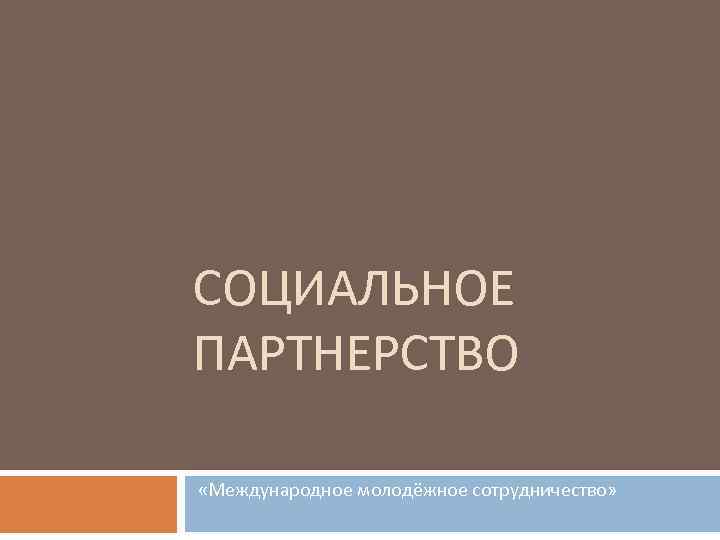 СОЦИАЛЬНОЕ ПАРТНЕРСТВО «Международное молодёжное сотрудничество» 