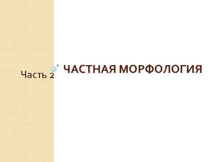 ЧАСТНАЯ МОРФОЛОГИЯ Часть 2 