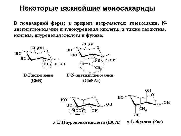 Некоторые важнейшие моносахариды В полимерной форме в природе встречаются: глюкозамин, Nацетилглюкозамин и глюкуроновая кислота,