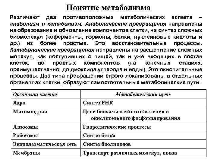 Понятие метаболизма Различают два противоположных метаболических аспекта – анаболизм и катаболизм. Анаболические превращения направлены