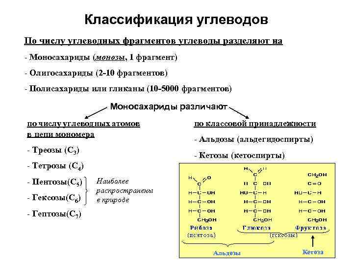 Классификация углеводов