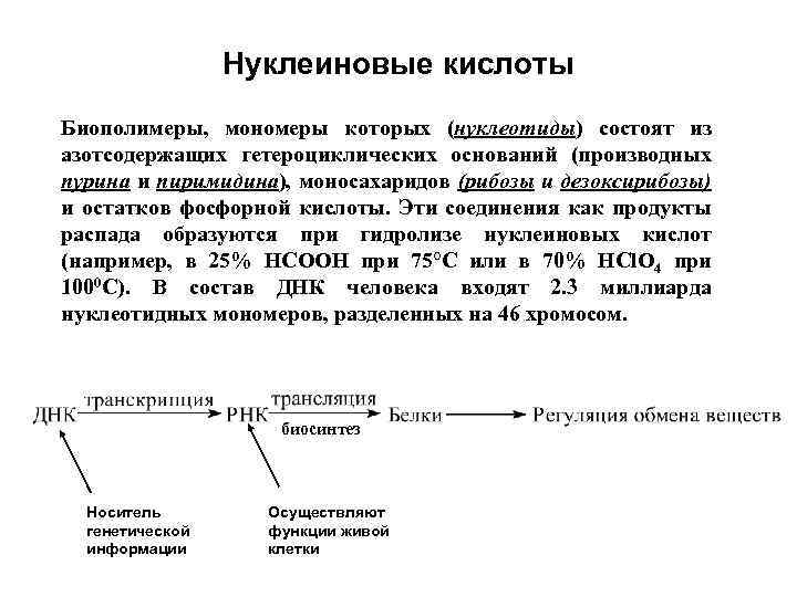 Нуклеиновые кислоты Биополимеры, мономеры которых (нуклеотиды) состоят из азотсодержащих гетероциклических оснований (производных пурина и