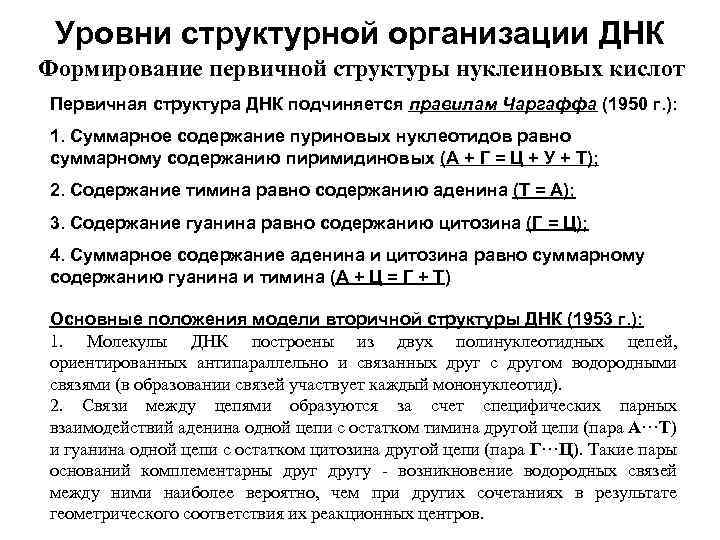 Уровни структурной организации ДНК Формирование первичной структуры нуклеиновых кислот Первичная структура ДНК подчиняется правилам
