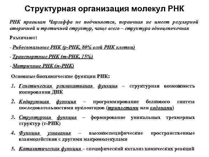 Структурная организация молекул РНК правилам Чаргаффа не подчиняется, первичная не имеет регулярной вторичной и