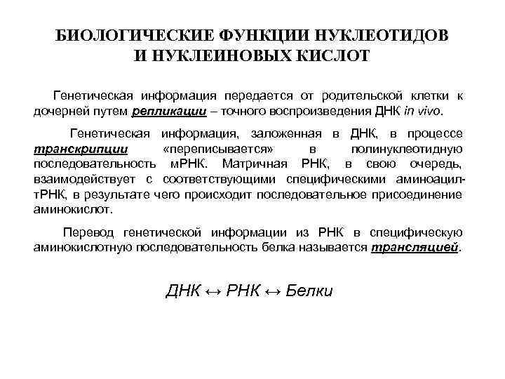 БИОЛОГИЧЕСКИЕ ФУНКЦИИ НУКЛЕОТИДОВ И НУКЛЕИНОВЫХ КИСЛОТ Генетическая информация передается от родительской клетки к дочерней