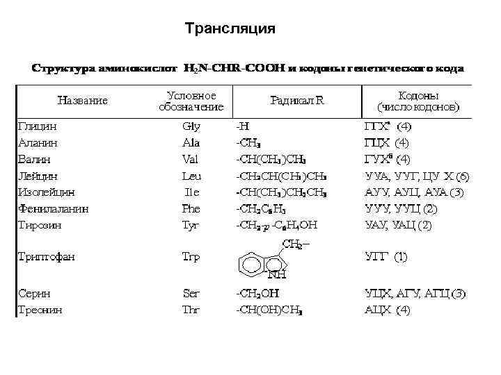 Трансляция 