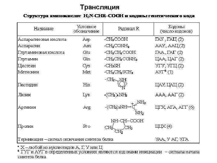 Трансляция 