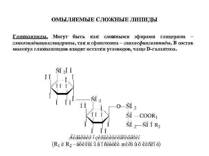 ОМЫЛЯЕМЫЕ СЛОЖНЫЕ ЛИПИДЫ Гликолипиды. Могут быть как сложными эфирами глицерина – гликозилдиацилглицерины, так и