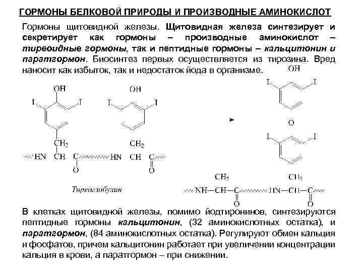 Белковый гормон человека