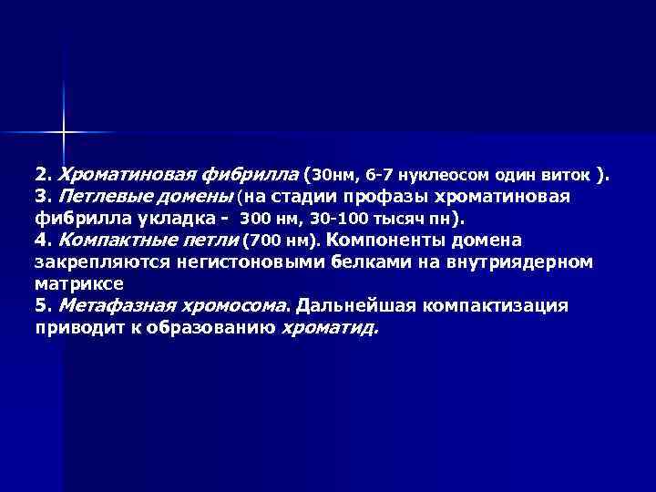 2. Хроматиновая фибрилла (30 нм, 6 -7 нуклеосом один виток ). 3. Петлевые домены