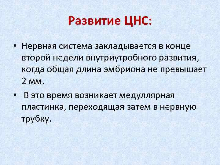  Развитие ЦНС: • Нервная система закладывается в конце второй недели внутриутробного развития, когда