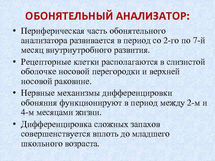  ОБОНЯТЕЛЬНЫЙ АНАЛИЗАТОР: • Периферическая часть обонятельного анализатора развивается в период со 2 -го