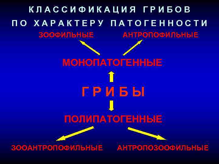 КЛАССИФИКАЦИЯ ГРИБОВ ПО ХАРАКТЕРУ ПАТОГЕННОСТИ ЗООФИЛЬНЫЕ АНТРОПОФИЛЬНЫЕ МОНОПАТОГЕННЫЕ ГРИБЫ ПОЛИПАТОГЕННЫЕ ЗООАНТРОПОФИЛЬНЫЕ АНТРОПОЗООФИЛЬНЫЕ 