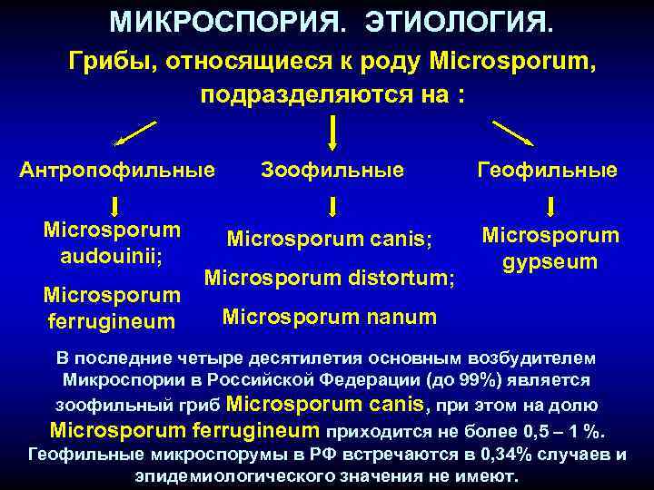 МИКРОСПОРИЯ. ЭТИОЛОГИЯ. Грибы, относящиеся к роду Microsporum, подразделяются на : Антропофильные Зоофильные Геофильные Microsporum