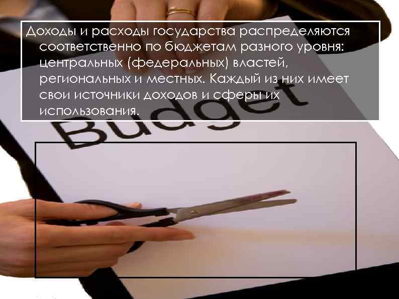 Доходы и расходы государства распределяются соответственно по бюджетам разного уровня: центральных (федеральных) властей, региональных