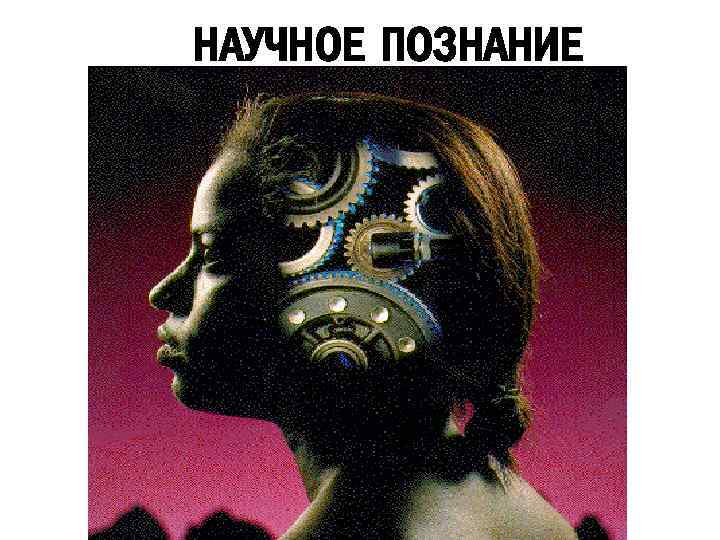 НАУЧНОЕ ПОЗНАНИЕ 