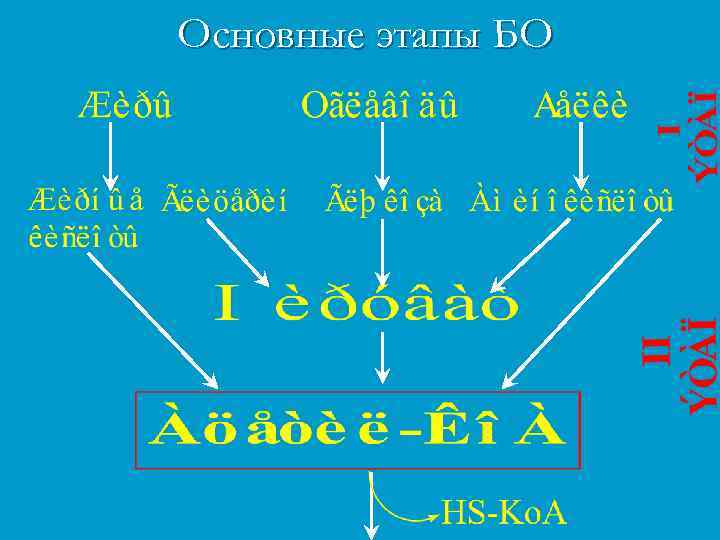 Основные этапы БО 