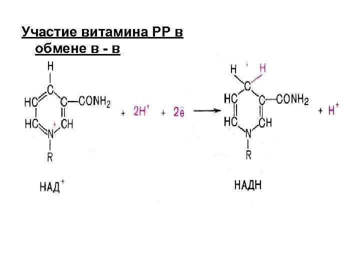 Участие витамина РР в обмене в - в 