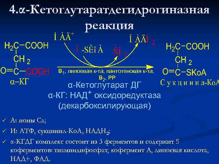 4. α-Кетоглутаратдегидрогиназная реакция В 1, липоевая к-та, пантотеновая к-та, В 2, РР α-Кетоглутарат ДГ