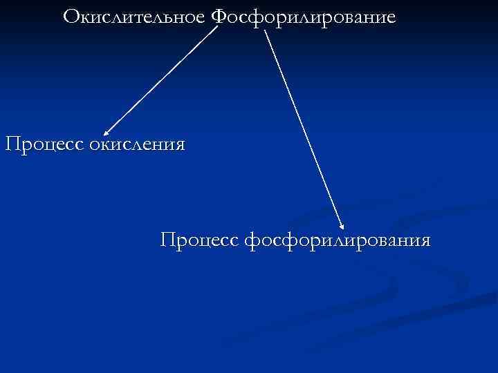 Окислительное Фосфорилирование Процесс окисления Процесс фосфорилирования 