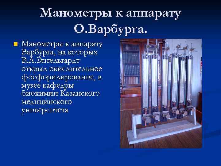 Манометры к аппарату О. Варбурга. n Манометры к аппарату Варбурга, на которых В. А.