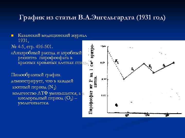 График из статьи В. А. Энгельгардта (1931 год) Казанский медицинский журнал 1931, № 4