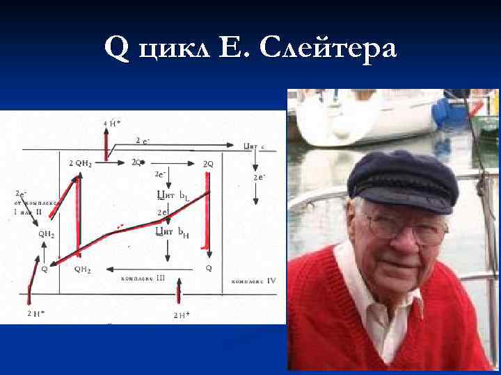 Q цикл Е. Слейтера 