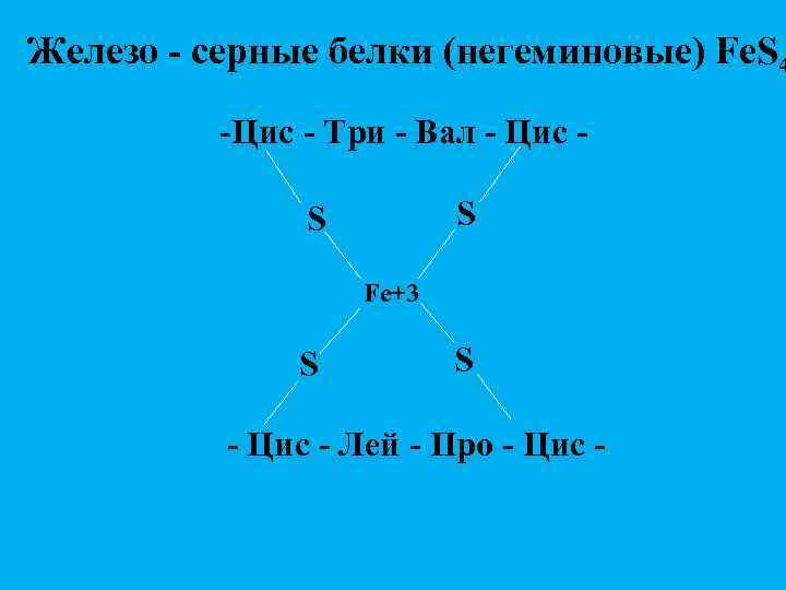 Железо - серные белки (негеминовые) Fe. S 4 -Цис - Три - Вал -