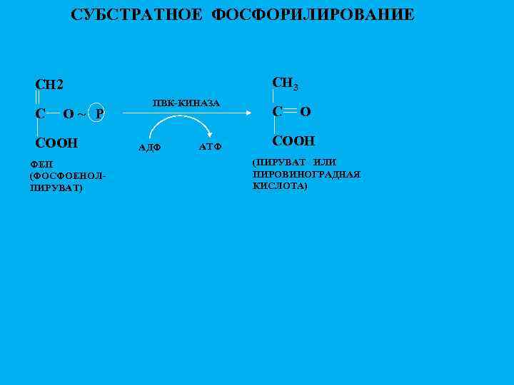 СУБСТРАТНОЕ ФОСФОРИЛИРОВАНИЕ СН 3 СН 2 С O~ Р СООН ФЕП (ФОСФОЕНОЛПИРУВАТ) ПВК-КИНАЗА АДФ
