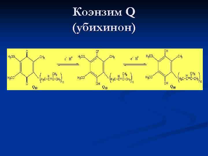 Коэнзим Q (убихинон) 