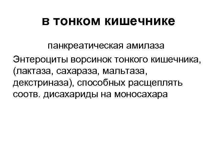 в тонком кишечнике панкреатическая амилаза Энтероциты ворсинок тонкого кишечника, (лактаза, сахараза, мальтаза, декстриназа), способных