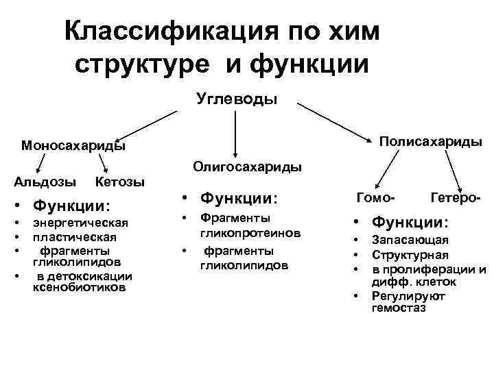 Классификация по хим структуре и функции Углеводы Полисахариды Моносахариды Олигосахариды Альдозы Кетозы • Функции: