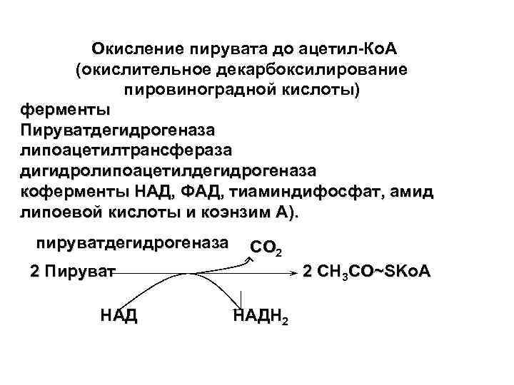 Схема окислительного декарбоксилирования