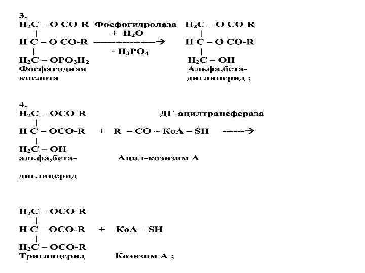 Стадии транспорта ЖК в МХ Стадии транспорта ЖК в МХ