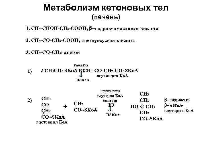 Прооксидантные ферменты фагоцитов НАДФН-оксидаза НАДФН + Прооксидантные ферменты фагоцитов НАДФН-оксидаза НАДФН +