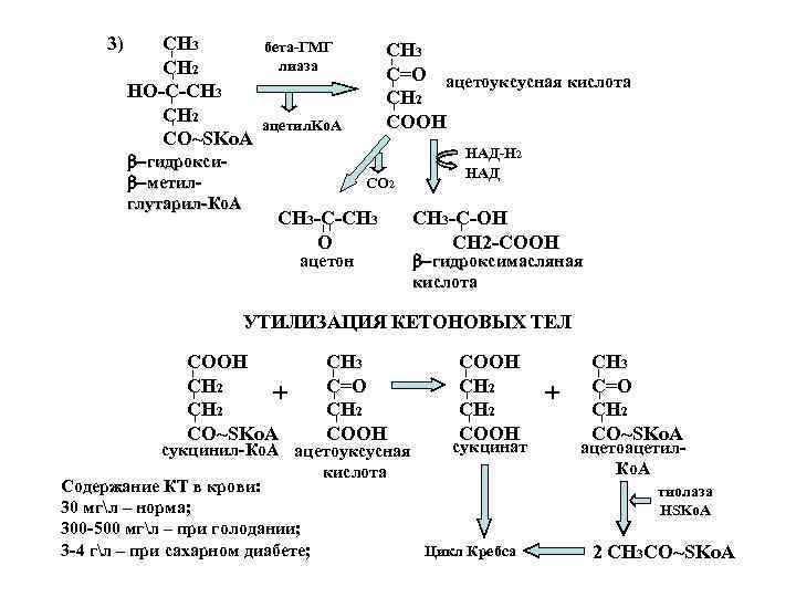 Образование активных форм кислорода (АФК) ксантиндегидрогеназа + Ca 2+ Образование активных форм кислорода (АФК) ксантиндегидрогеназа + Ca 2+