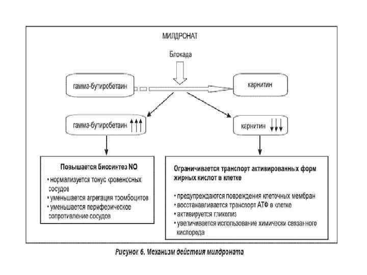 Аргинин Аргинин