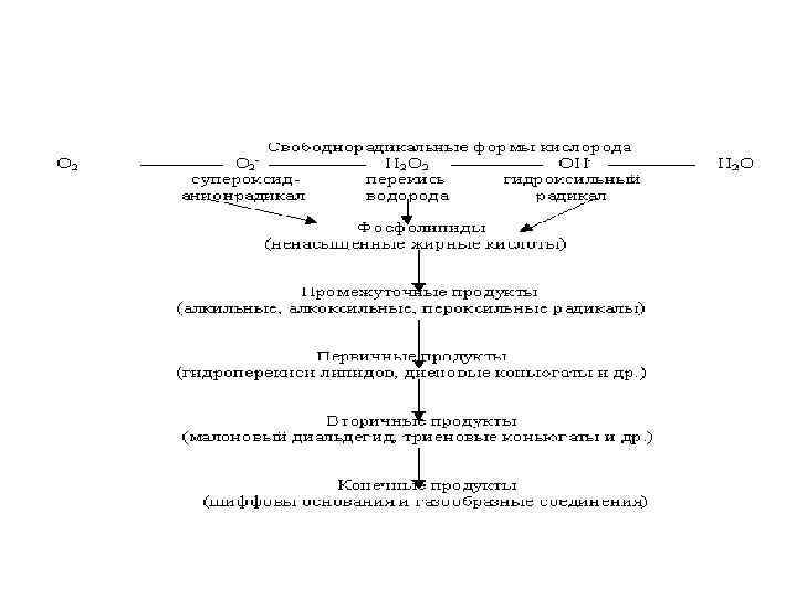 Синдром липидной пероксидации • Синонимы: окислительный стресс, оксидативный стресс (липидная триада ? ) Синдром липидной пероксидации • Синонимы: окислительный стресс, оксидативный стресс (липидная триада ? )