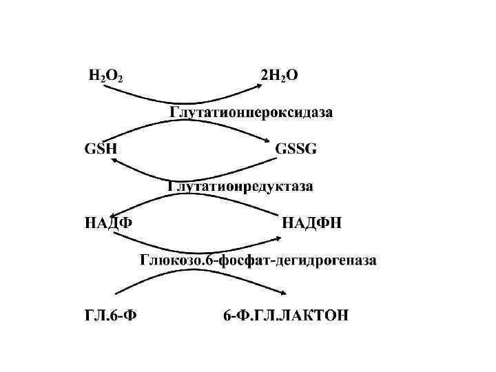 Биофотонный сканер Pharmanex S 2 определяет уровень антиоксидантной защиты организма ? ? ? Биофотонный сканер Pharmanex S 2 определяет уровень антиоксидантной защиты организма ? ? ?