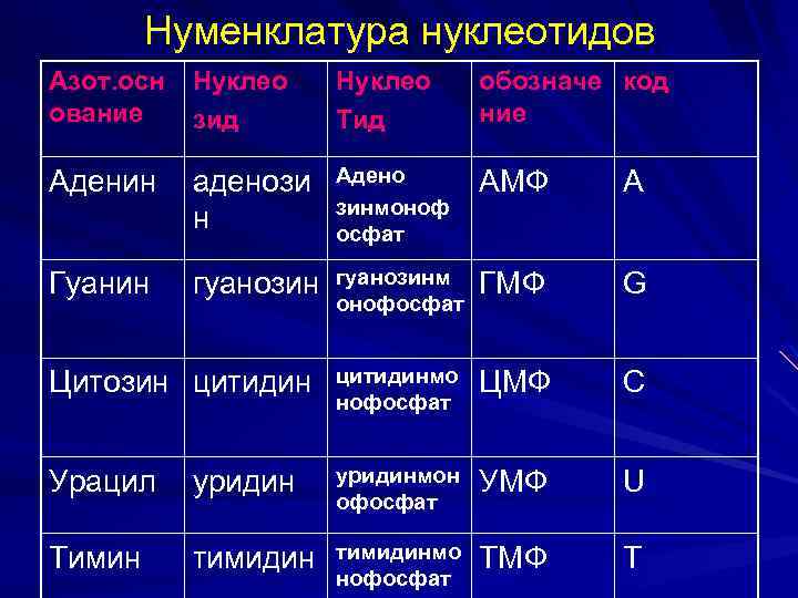 Нуменклатура нуклеотидов Азот. осн Нуклео ование зид Нуклео обозначе код ние Тид Аденин аденози