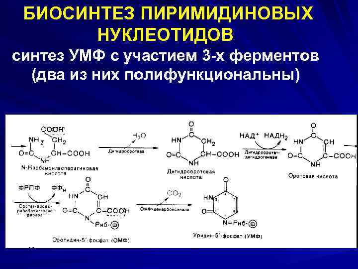 Умф 2000