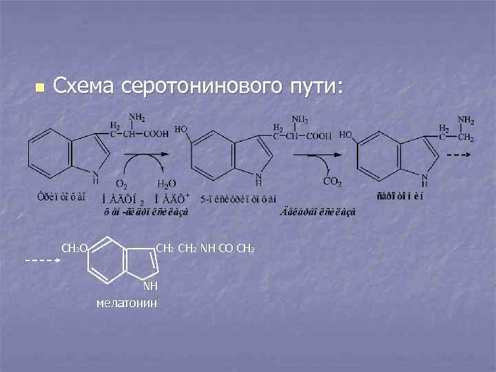 n Схема серотонинового пути: СН 3 О СН 2 NН СО СН 3 NH