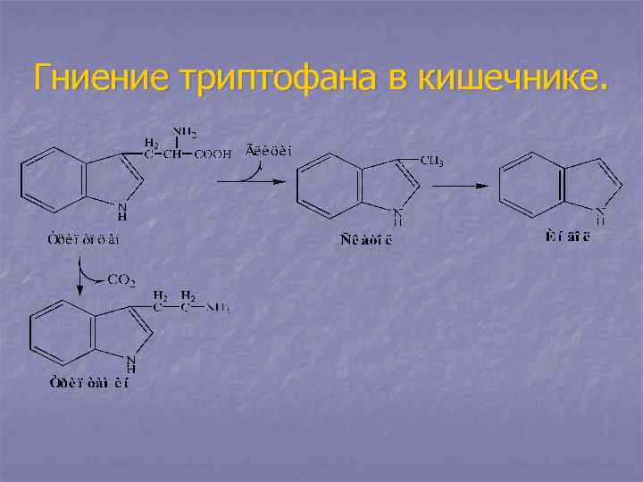 Триптофан незаменимая