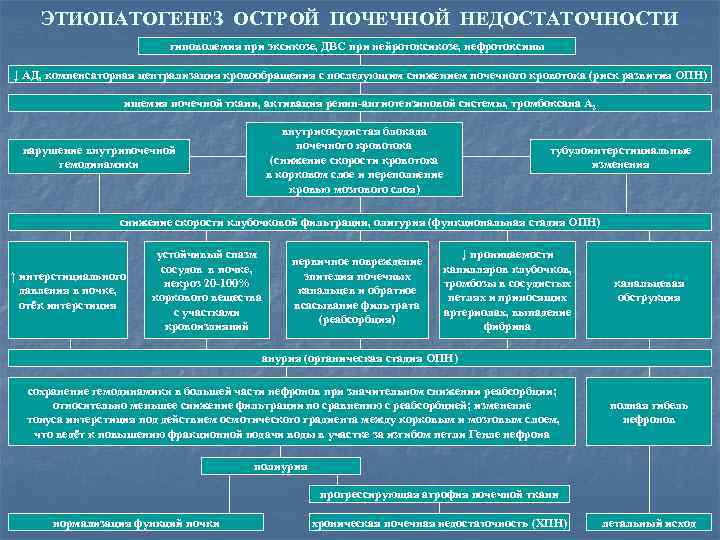 ЭТИОПАТОГЕНЕЗ ОСТРОЙ ПОЧЕЧНОЙ НЕДОСТАТОЧНОСТИ гиповолемия при эксикозе, ДВС при нейротоксикозе, нефротоксины ↓ АД, компенсаторная